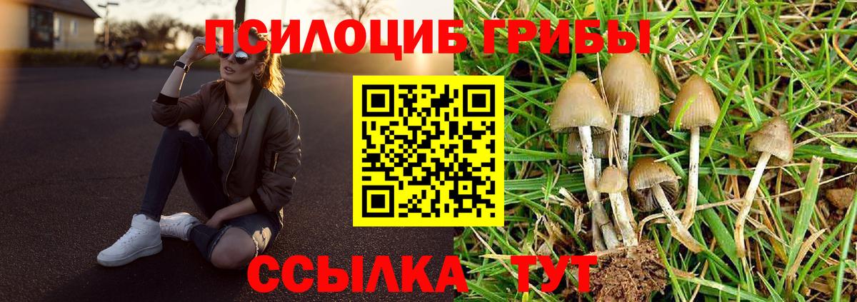 Псилоцибиновые грибы мицелий Уссурийск